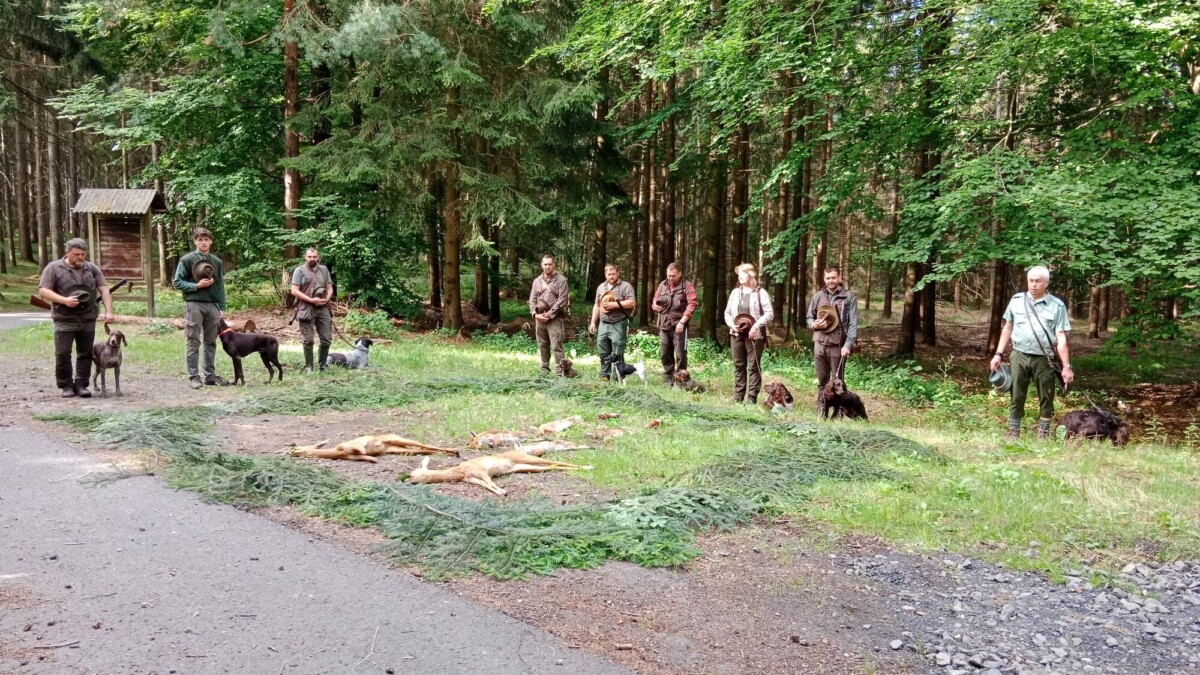LESNÍ ZKOUŠKY OHAŘŮ A LESNÍ ZKOUŠKY OSTATNÍCH PLEMEN 8.8.2026 – LČR JEŠTĚD